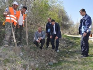 Bayat’ta 7 Bin Fidan Toprakla Buluşturuldu