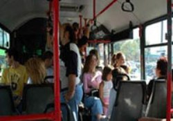 Otobüsler mikrop yuvası!