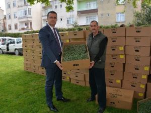 Üreticilere Sera Naylonu Dağıtıldı