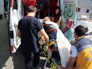 Domuza Ateş Ederken Arkadaşını Vurdu