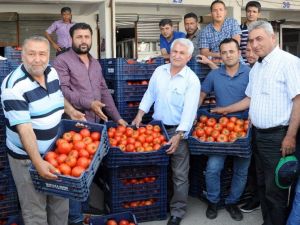 Kış Sezonunda 3,5 Liraya Kadar Satılan Domatesin Kilosu, İhracat Azalınca 50 Kuruşa Düştü