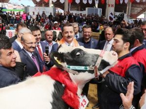 Bakan Çelik’in Müjdeleri Sektörü Hareketlendirdi