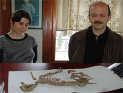 Rizelileri Şaşırtan İskelet Devlet Korumasına Alındı