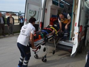 Fatsa’da Trafik Kazaları: 5 Yaralı