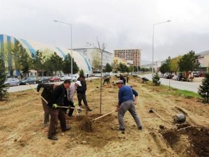 Kavşak Ve Orta Refüjlere Yeni İmaj