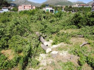 Amasya’da Parka Akaryakıt İstasyonu Davasında Karar