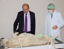 Rehabilitasyon Merkezi Hizmete Açıldı