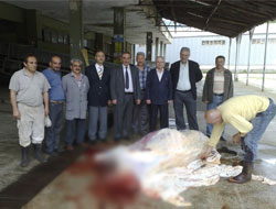 Çaykur Fabrikasında Kurbanlı Açılış