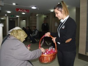 Elleri Yıkamamak Kansere Yol Açıyor