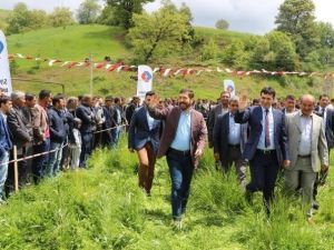 Yüreğil Yağlı Güreşleri Kıran Kırana Geçti