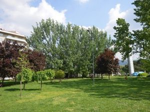 Bahar Alerjisi Astıma Dönüşüyor