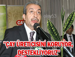 Rize Çayının Önemli Avantajı Var