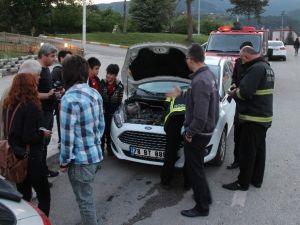 Karabük’te Kedi Kurtarma Operasyonu