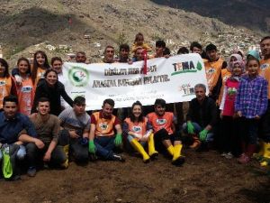 Gümüşhane’de Anneler İçin 2016 Fidan
