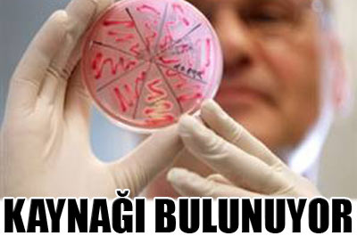 Ölümcül bakterinin kaynağı bulunuyor