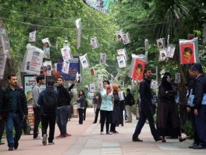 Ağaçlardan Kitap Topladılar