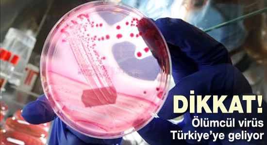 Dikkat! Ölümcül virüs Türkiye'ye geliyor