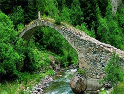 Karadeniz'de Alarm!