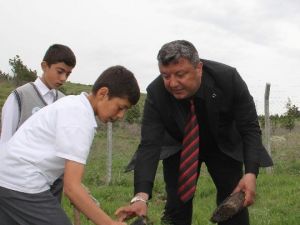 Polisler Fidan Dikti