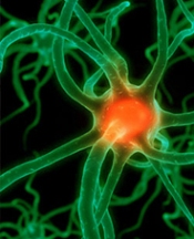 Türkiye'nin kanser haritası