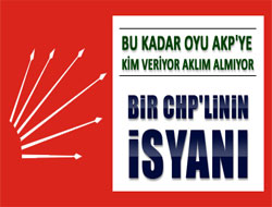 "KİM VERİYOR BU KADAR OYU AKP'YE" - VİDEO