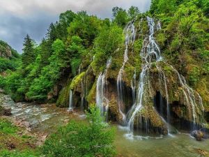 Giresun’un Yüksek Tepelerinde Renk Cümbüşü