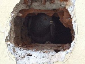 Giresun’da Güvercin Kurtarma Operasyonu