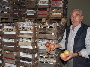 Şeftaliyi Kırağı Vurdu