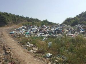 Zeytinliği Çöplüğe Çevirdiler