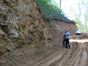 Düzce’de Orman Yolları Hızlı Bir Şekilde Tamamlanıyor