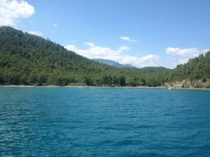Türkiye’nin 206. Tabiat Parkı Antalya’da İlan Edildi
