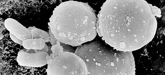 Ev eşyalarındaki tehlike!