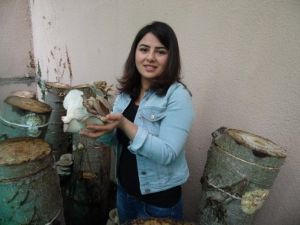 Mantarın Yolculuğu
