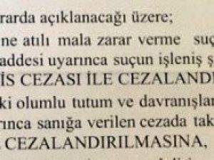 Apartman Bahçesinde İzinsiz Ağaç Kesmeye 10 Ay Ceza