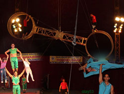 Rize’de Sirk Heyecanı Başladı