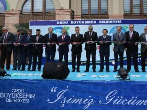 Ormek’in 1. Yıl Gururu