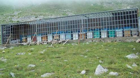 Kovanları Demir Kafeste Koruyor