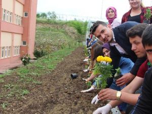 Vezirköprü’de Çiçek Dikme Etkinliği