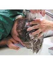 Şampuanlar egzama yapıyor