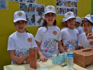 Doğuş Çay İlkokulu'nda Bilim Şenliğinde Renkli Görüntüler