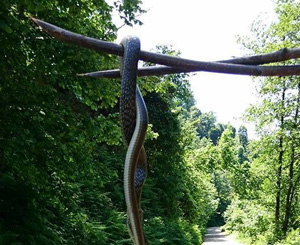 Trabzon ve Rize’de Son Bir Ayda Onlarca Yılan Öldürüldü