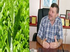 Çay taban fiyatı ne kadar olacak