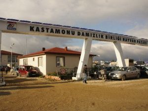 Kastamonu’da Hayvan Pazarı, Şap Hastalığı Nedeniyle Kapatıldı
