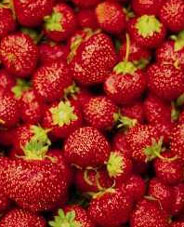 Faydaları saymakla bitmiyor