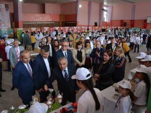 Okulda Bilim Fuarı Ve Resim Sergisi