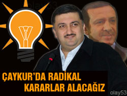 Hasan Karal Kolları Sıvadı