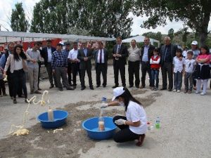 Osmancık’ta Tübitak 4006 Bilim Fuarı Açıldı
