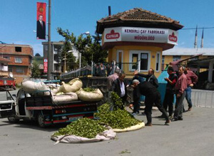 Çay Üreticisinden Çaykur Fabrikası Önünde Protesto