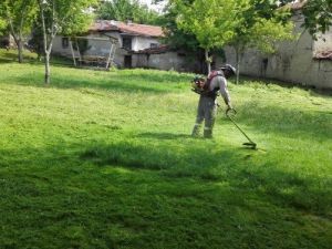 Sungurlu’da Peyzaj Çalışmaları