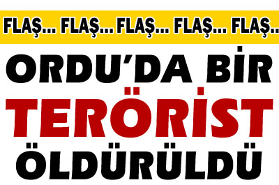 Ordu'da bir terörist öldürüldü